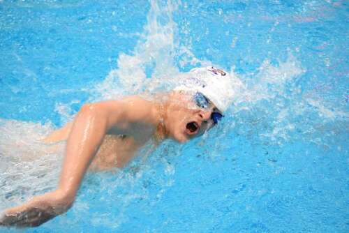 Hawk Swim And Dive Team Seventh In Class M Championships – The Newtown Bee