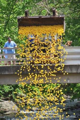 Great Pootatuck Duck Race To Incorporate America 250 Theme, Business Derby On June 13