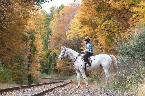 Beautiful Backdrop For Horse Guard Trail Ride Participants – The ...