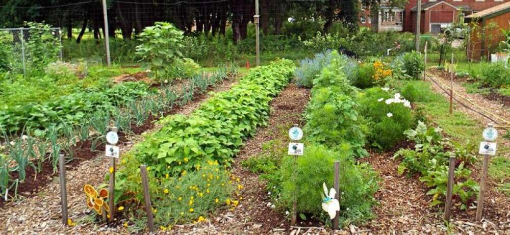 Local Garden Clubs Nurture A Beautiful Newtown The Garden Club Of