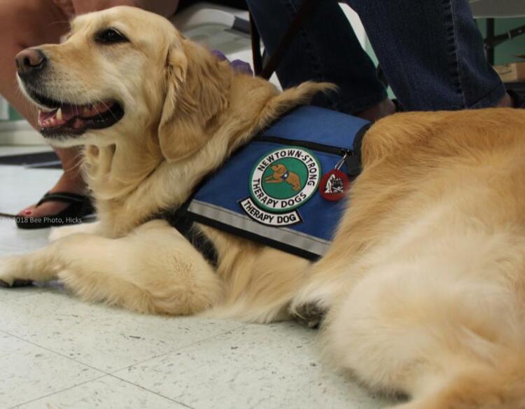 Newtown Strong Therapy Dogs Local Program Offers Ongoing