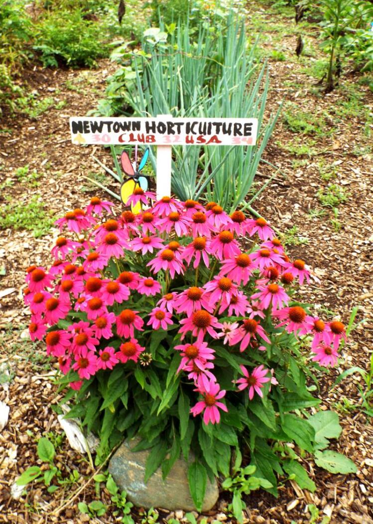 Local Garden Clubs Nurture A Beautiful Newtown Horticulture Club