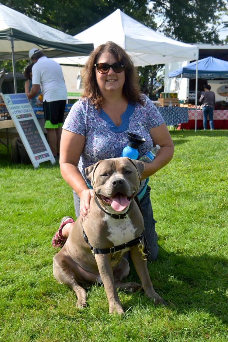 Therapy Dog In Training Visits Farmers Market The Newtown Bee