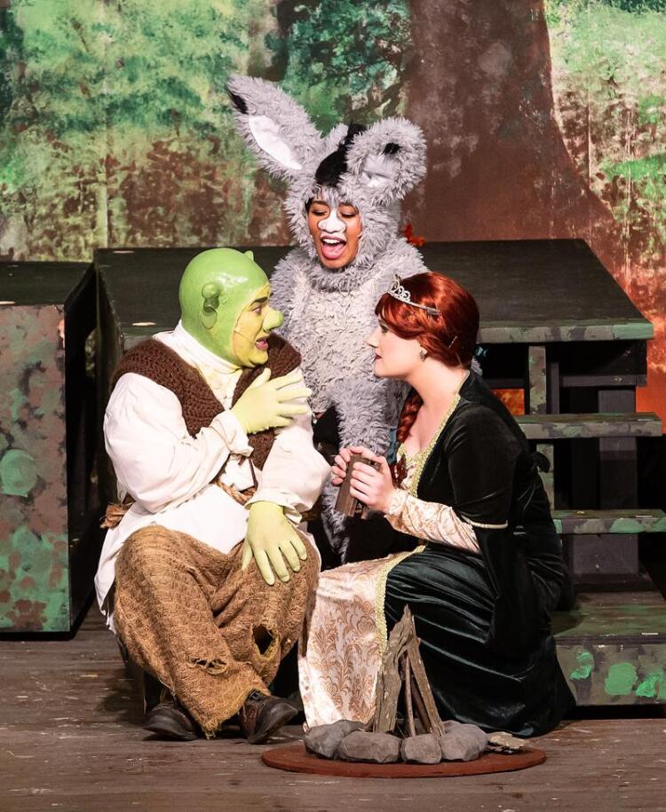 Theater Review Shrek Hits It Out Of The Park As Musicals At